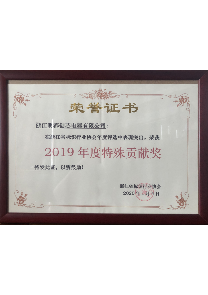 2019年度特殊貢獻(xiàn)獎(jiǎng)